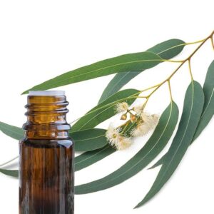 Eucalyptus essential oil